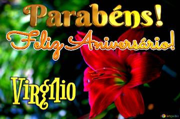 Feliz Aniversário! Parabéns! Virgílio  Flores Da Amizade