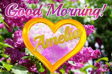 Good Morning! Amelia  