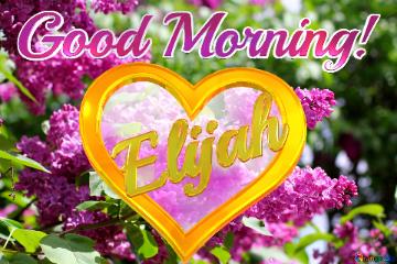 Good Morning! My Love! Elijah