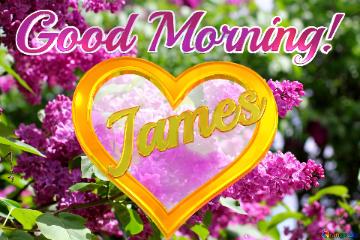  Good Morning! James  