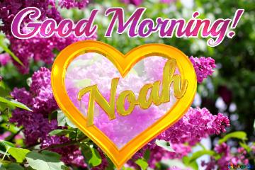  Good Morning! Noah   Bright Picture With Lilac Flowers