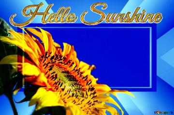 Hello Sunshine  Sunflowers On Blue Background On The Desktop Banner Template Infographic Business...