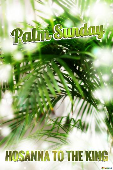 HOSANA TO THE KING   Palm Sunday palm background