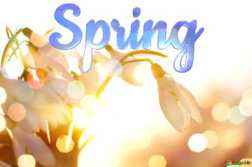 Spring  Spring background