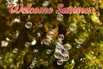Welcome Summer  Summer  Bubbles