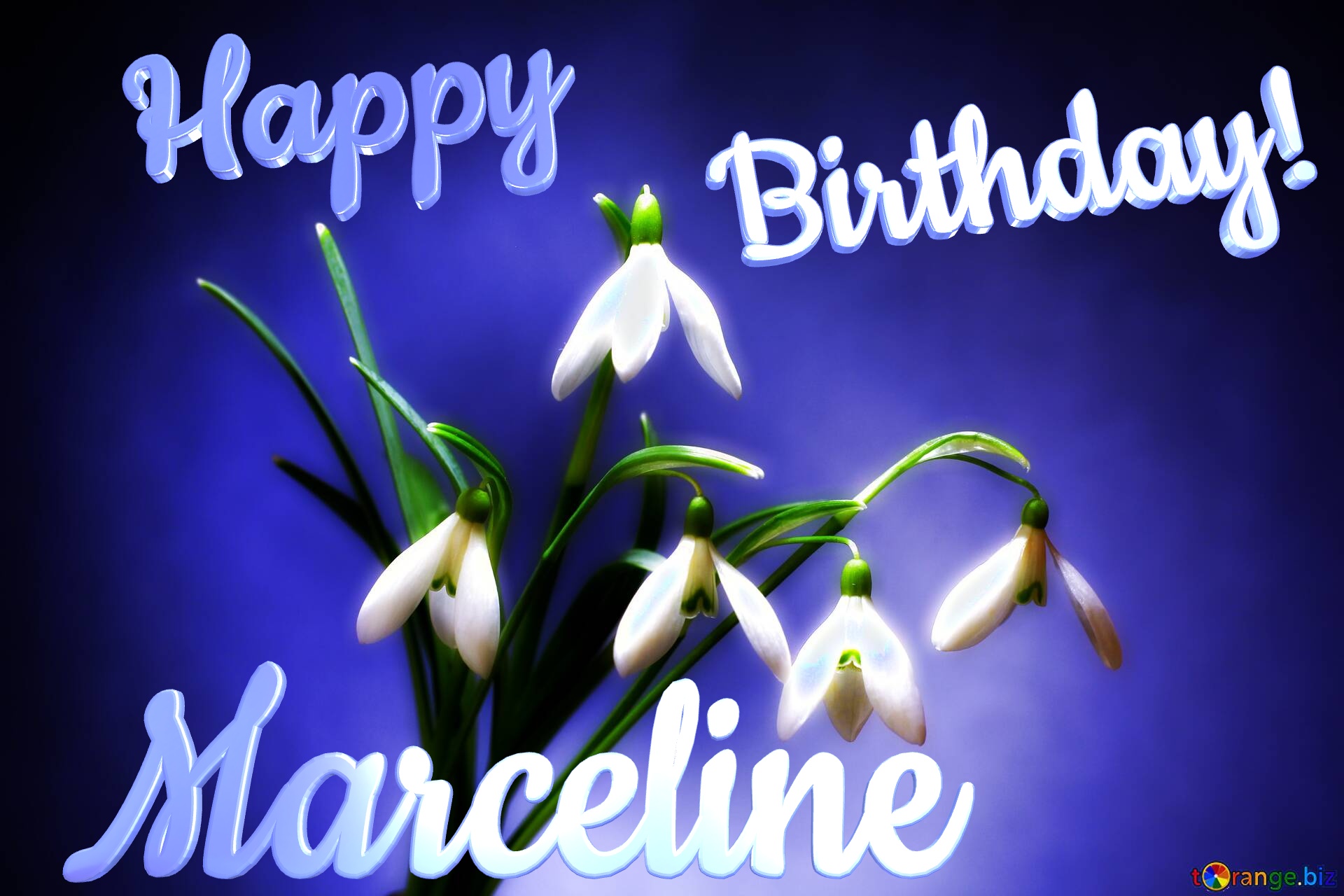 Marceline Happy  Birthday! Flowers №0