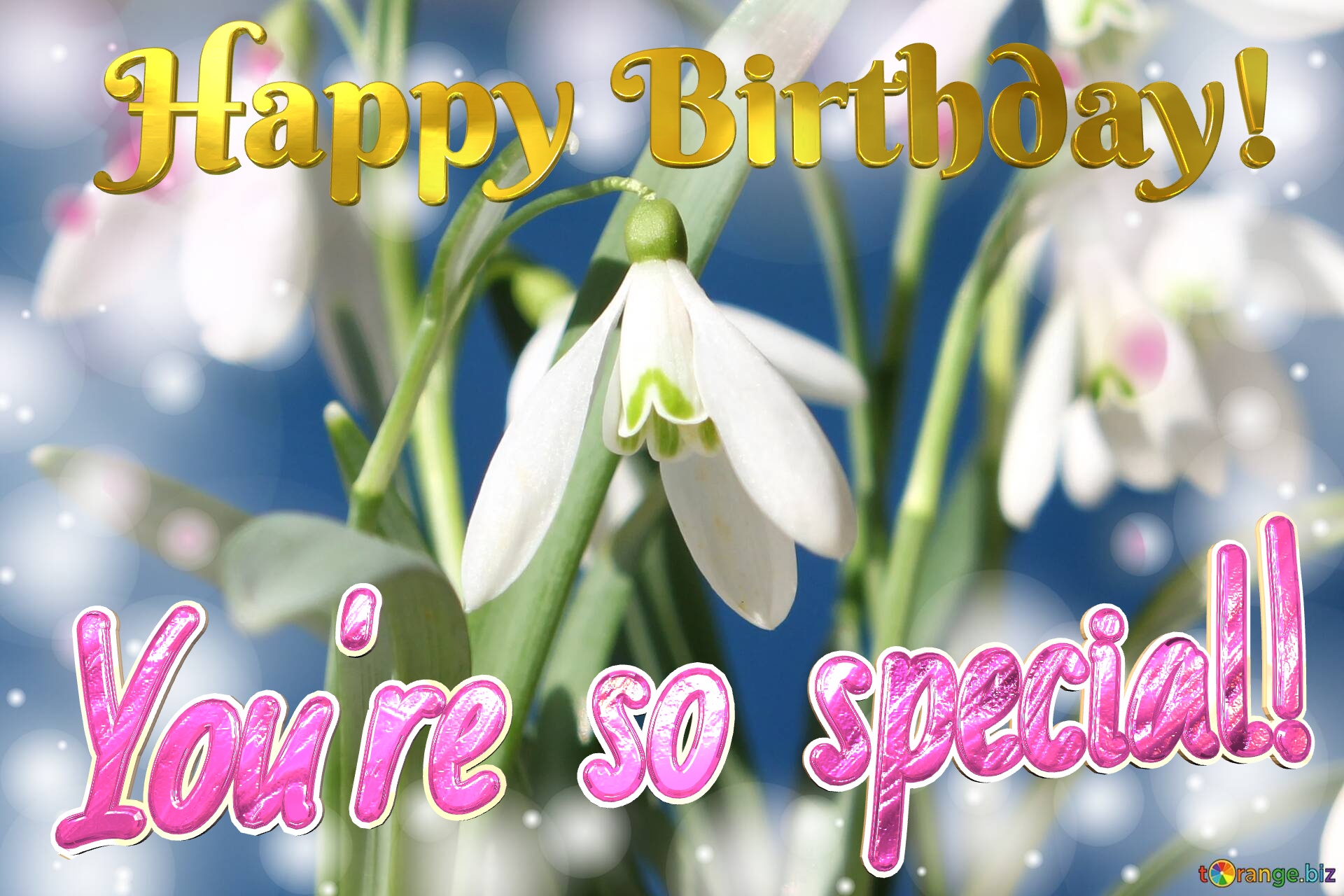 Happy Birthday! You`re so special!   Flowers  spring background №0