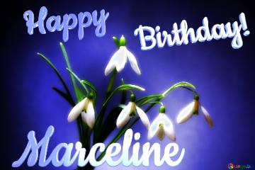 Marceline Happy  Birthday! Flowers