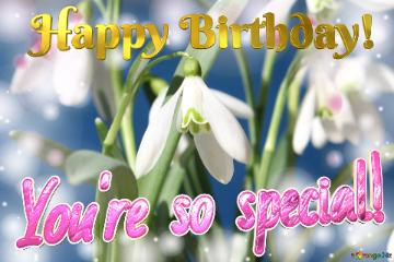 Happy Birthday! You`re so special!   Flowers  spring background