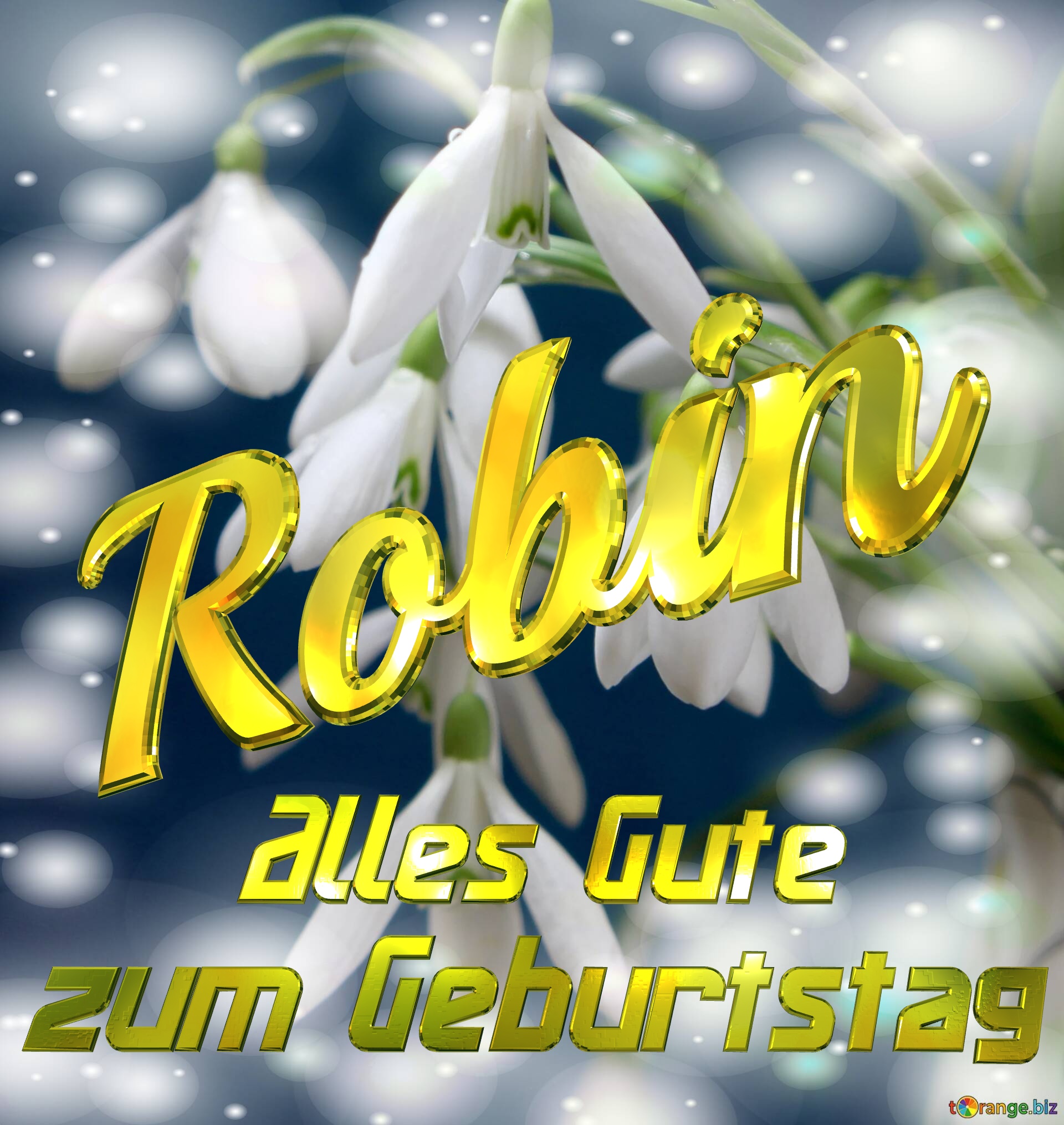     Alles Gute  zum Geburtstag Robin  Blumenstrauß von Frühlingsblumen №0