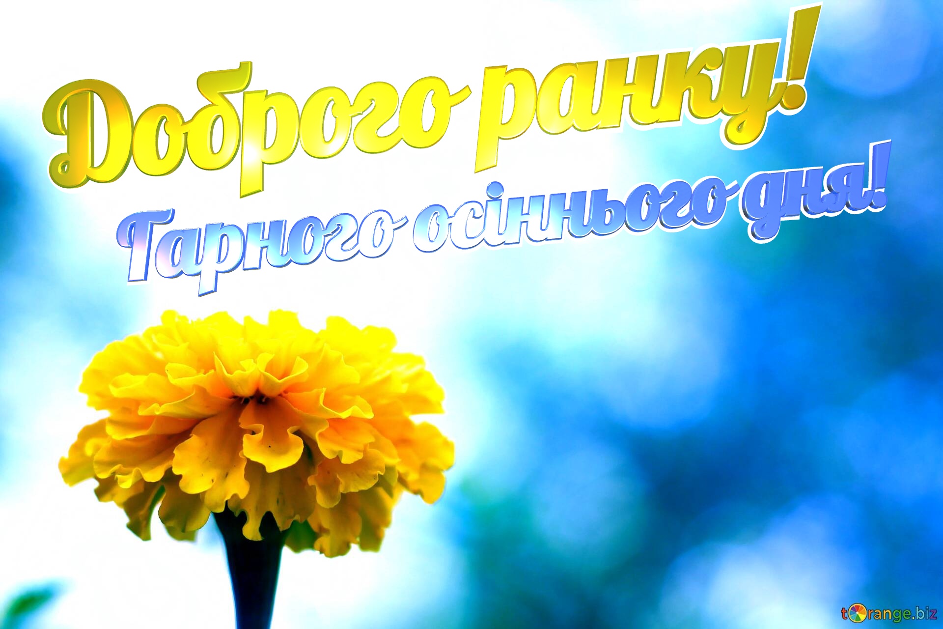 Доброго ранку! Гарного осіннього дня!  Yellow flower on blue background №0