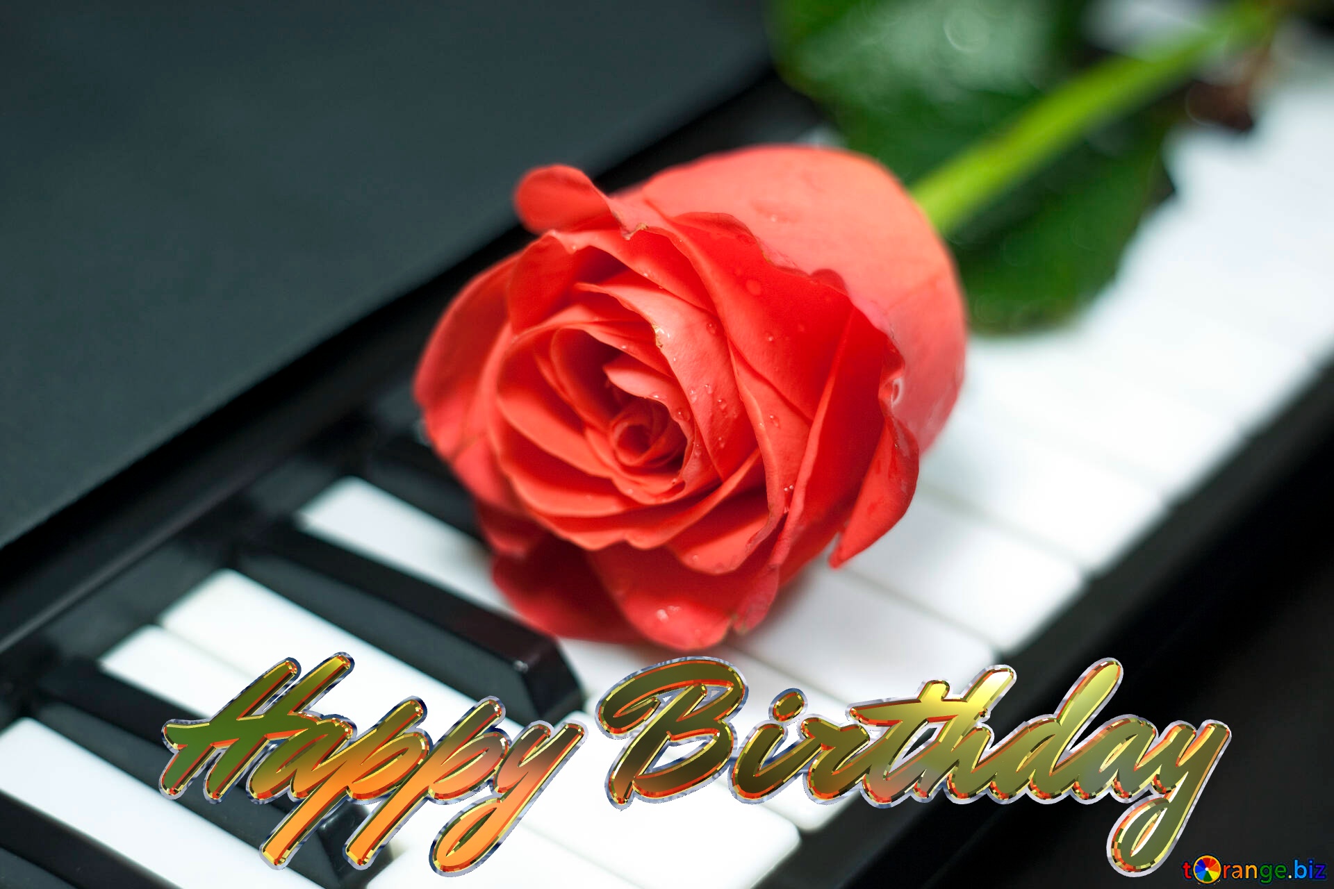 Happy Birthday Music Rosa  at  piano №7253