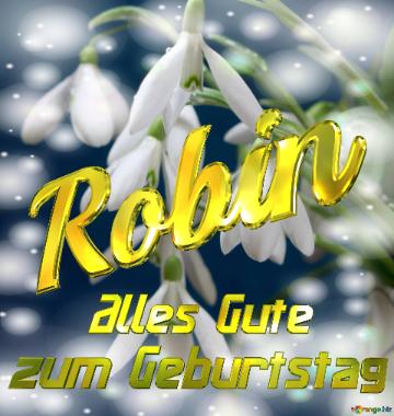     Alles Gute  Zum Geburtstag Robin  Blumenstrauß Von Frühlingsblumen