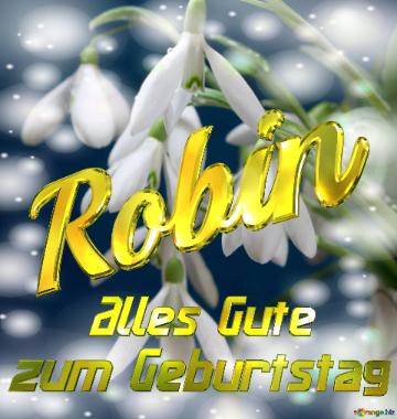     Alles Gute  zum Geburtstag Robin  Blumenstrauß von Frühlingsblumen