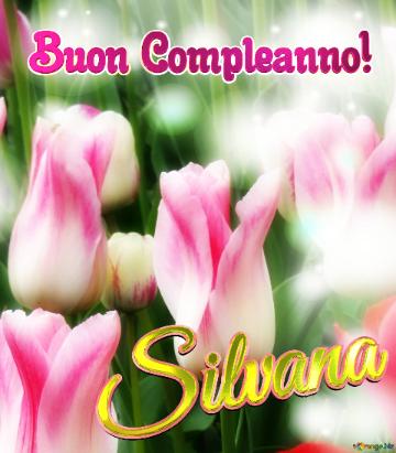 Buon Compleanno! Silvana  Questi Tulipani Ti Portano La Speranza Per Un Futuro Pieno Di Successi E...