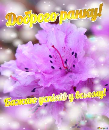 Доброго ранку! Бажаю успіхів у всьому! Emoción Floral