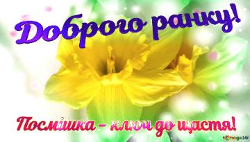 Доброго ранку! Посмішка - ключ до щастя!  In A Field Of Flowers,...