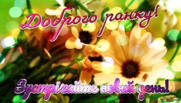 Доброго ранку! Зустрічайте новий день!  A Flowers Red Hue Is A...