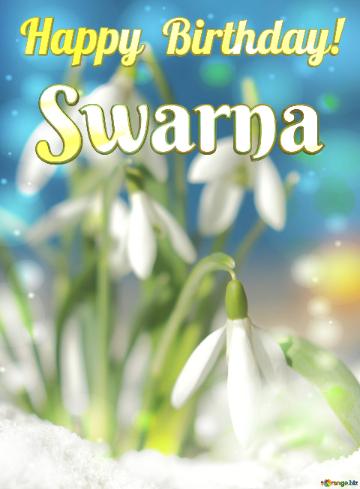 Swarna Happy Birthday! Beautiful spring  flowers bokeh background