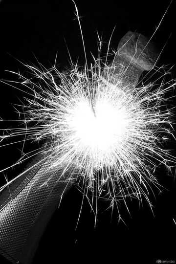 FX №602 Explosion in bottle of champagne black and  white effect