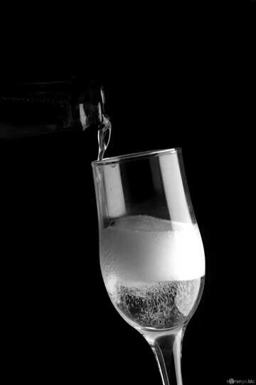 FX №591 champagne black white