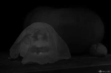 FX №634  Halloween Ghosts