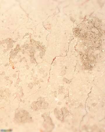 FX №371 Beige color. Light marble texture.