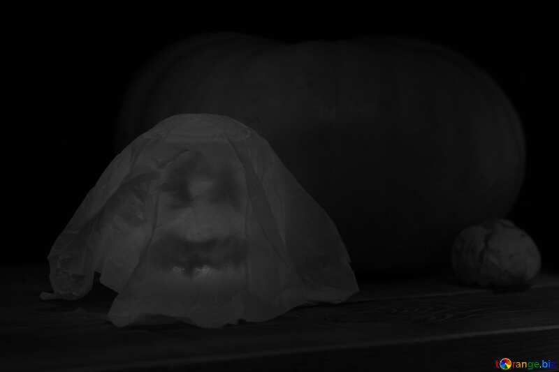  Halloween Ghosts №35076