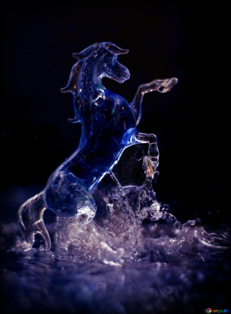 Blue color. Horse and water splashes. №24525