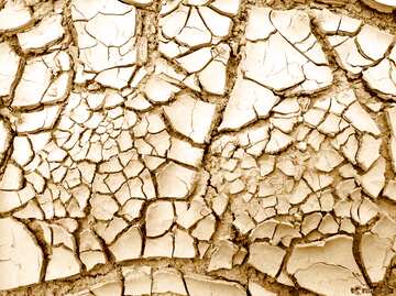 FX №1484 Yellow color. Cracked earth. Large.