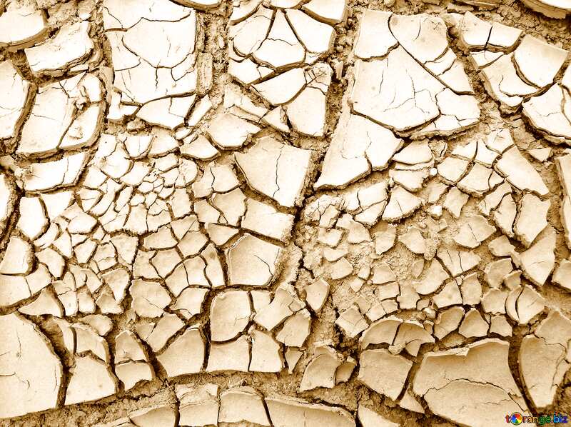 Yellow color. Cracked earth. Large. №627