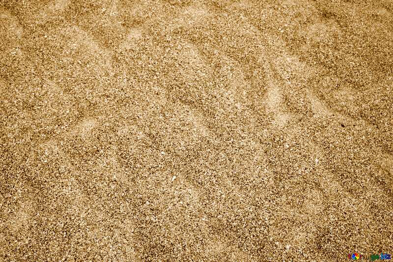 Beige color. Texture sea sand. №14448