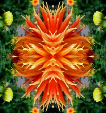 FX №10830 Flower pattern background