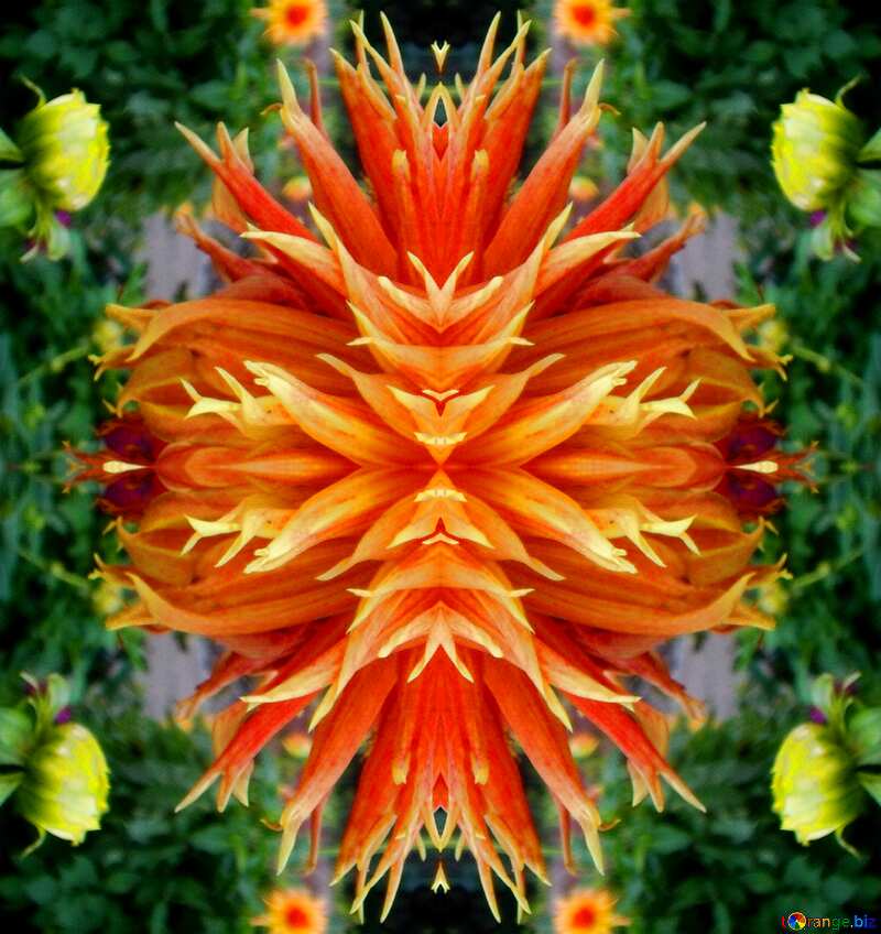 Flower pattern background №12995