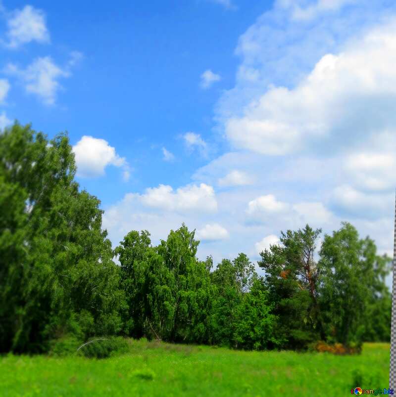 Summer landscape blur frame №26668