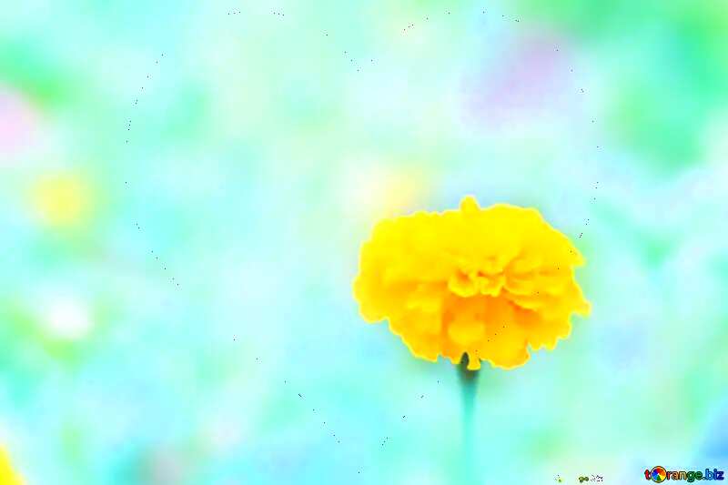  love flower background №33458