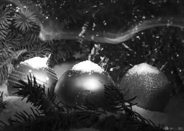 FX №101820  Christmas Spirit black and  white