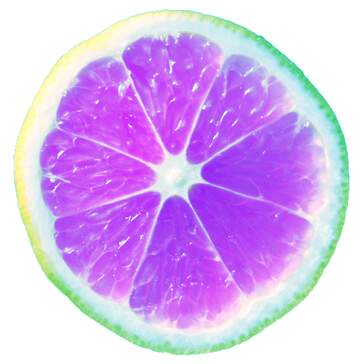 FX №101400 A close up of a fruit purple sliced citrus