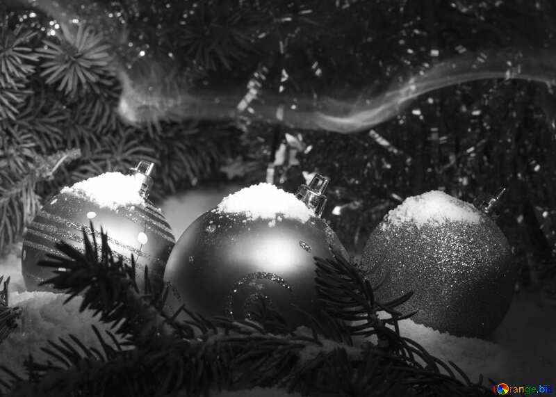  Christmas Spirit black and  white №15374