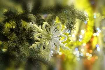 FX №102700 Christmas snowflake blurring frame