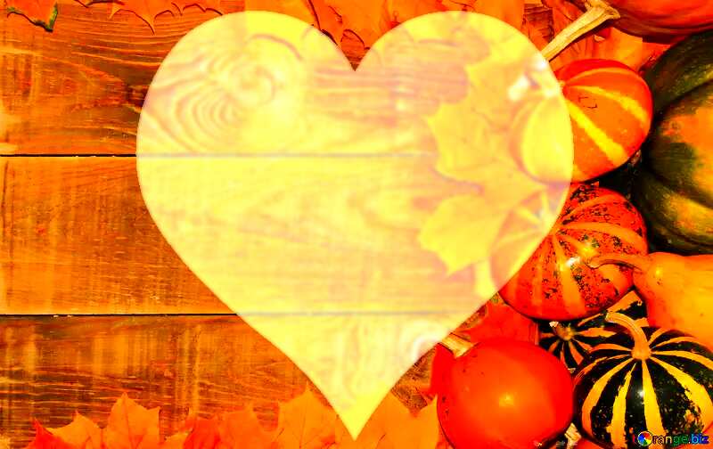 Autumn background pumpkins love heart №35228
