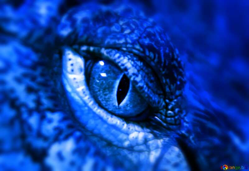 Eye crocodile blue №11303