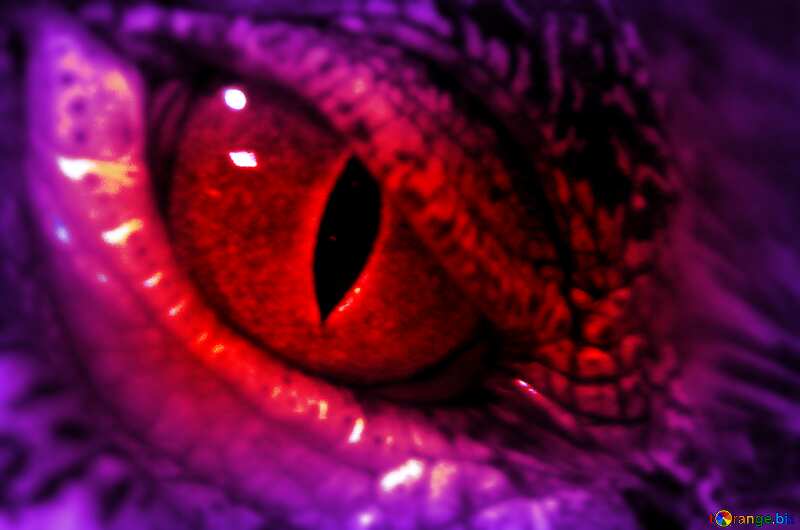 Evil  eye №11303