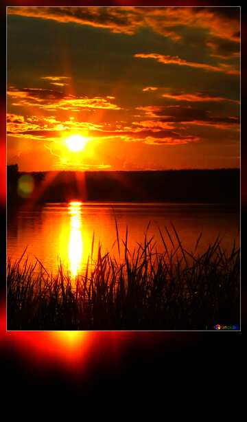FX №113180 Sunset at the river blank motivation card