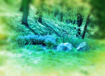FX №113566 Spring landscape blur frame