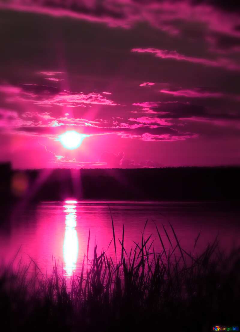 Violet  sunset №36488