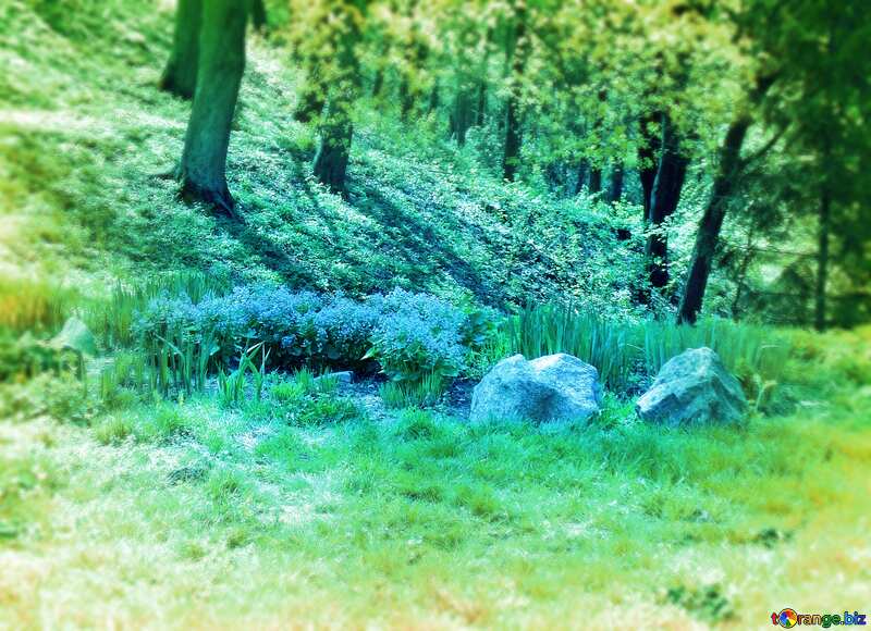 Spring landscape blur frame №12926