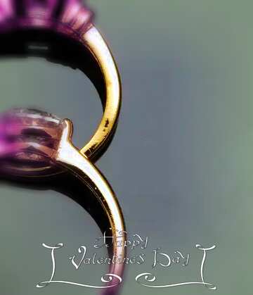 FX №115316 Two rings happy valentines day