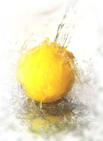 FX №115850 Lemon water