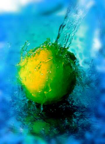 FX №115853 Lemon water